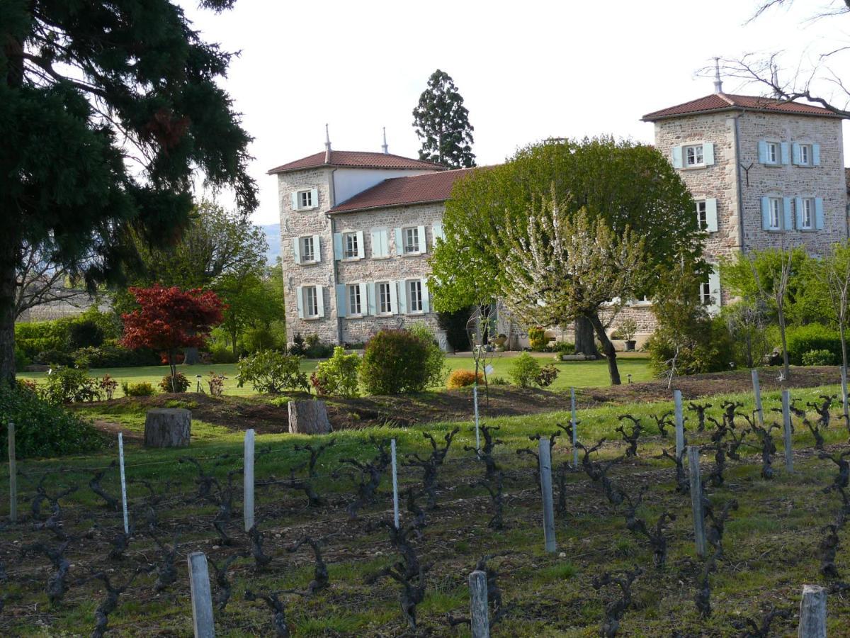 Chateau De Grandmont Chambres D'Hotes Blacé Екстериор снимка